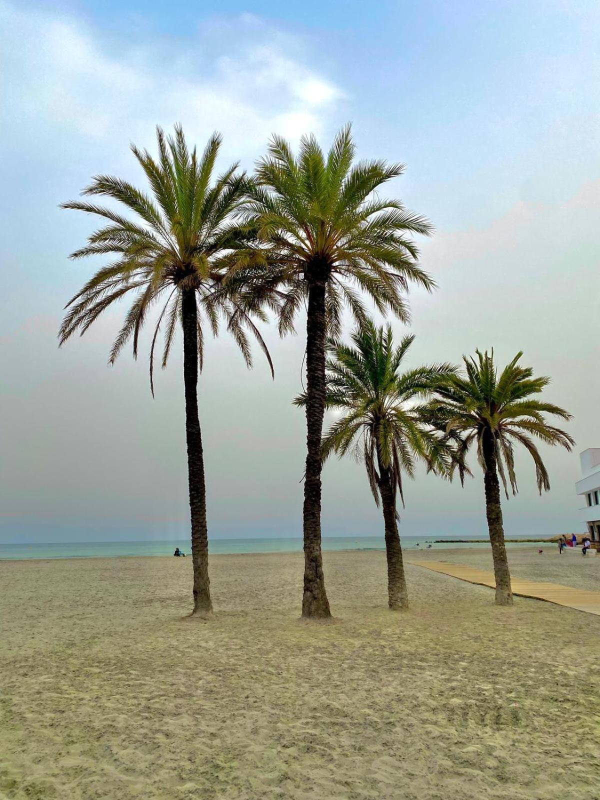 Corazon De Santa Pola Βίλα Εξωτερικό φωτογραφία